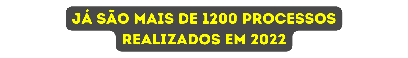 Já são mais de 1200 processos realizados em 2022